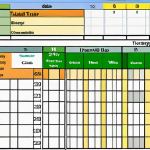 **Image Prompt:** A literacy tutor meticulously tracking CEUs on a digital spreadsheet. The spreadsheet displays dates, titles, providers, and CEU credits. Focus on organization and the importance of staying current in literacy education. The tutor should appear dedicated and detail-oriented.